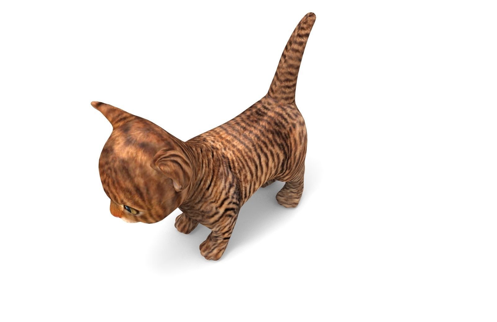 3D Cat low poly pet  Low-poly 3D model_9