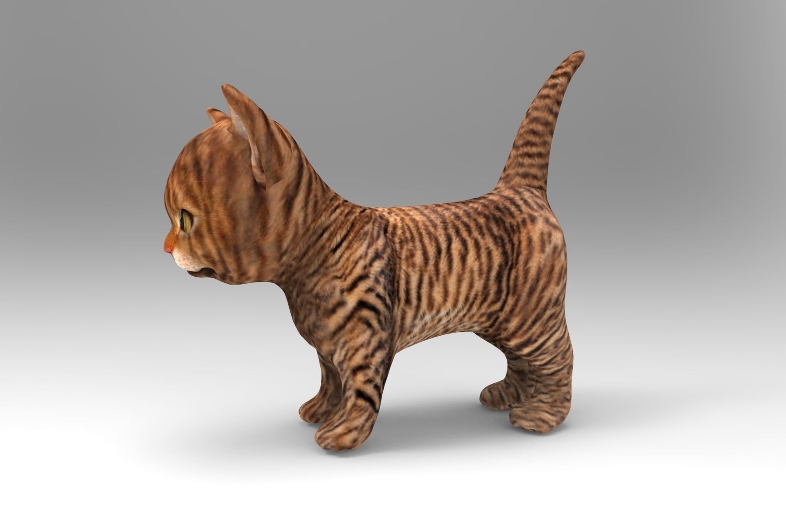3D Cat low poly pet  Low-poly 3D model_1