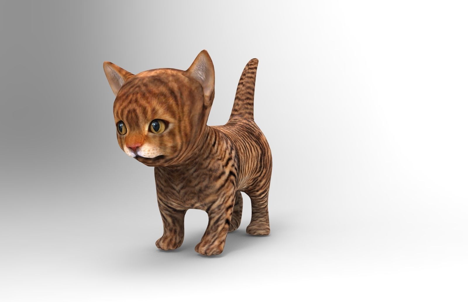 3D Cat low poly pet  Low-poly 3D model_10