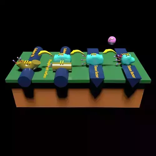 COAGULATION CASCADE COMMON PATHWAY