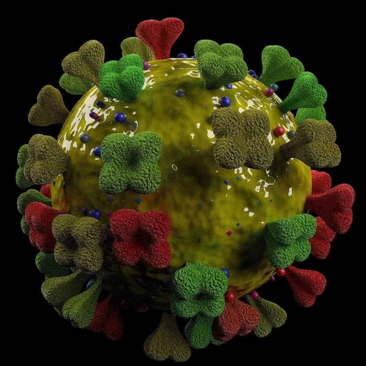 corona virus detail labelled cut section 3D model_4