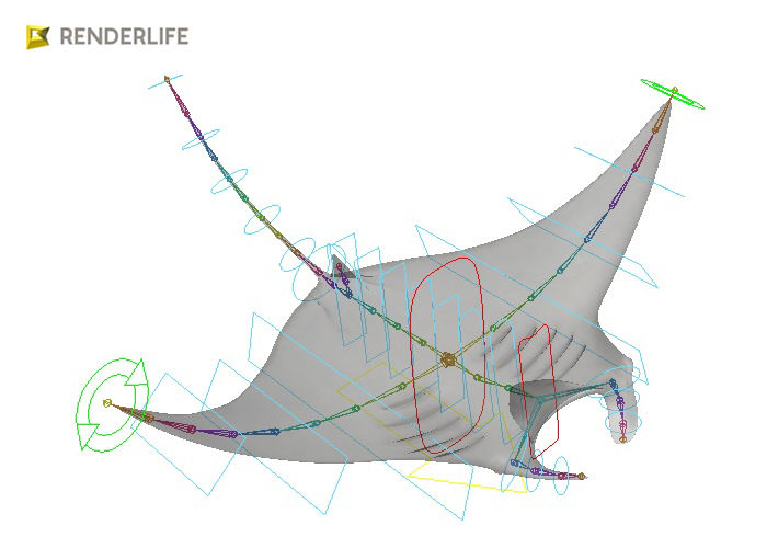 Manta Ray with animation 3D model_5