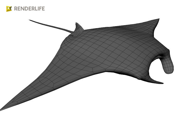 Manta Ray with animation 3D model_11