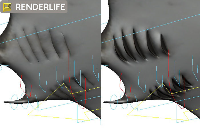 Manta Ray with animation 3D model_3