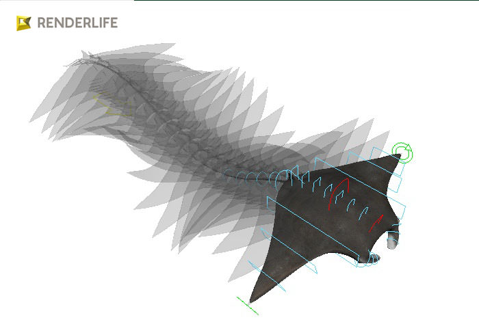 Manta Ray with animation 3D model_6