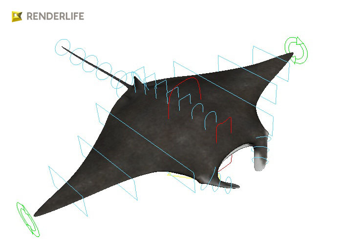 Manta Ray with animation 3D model_1