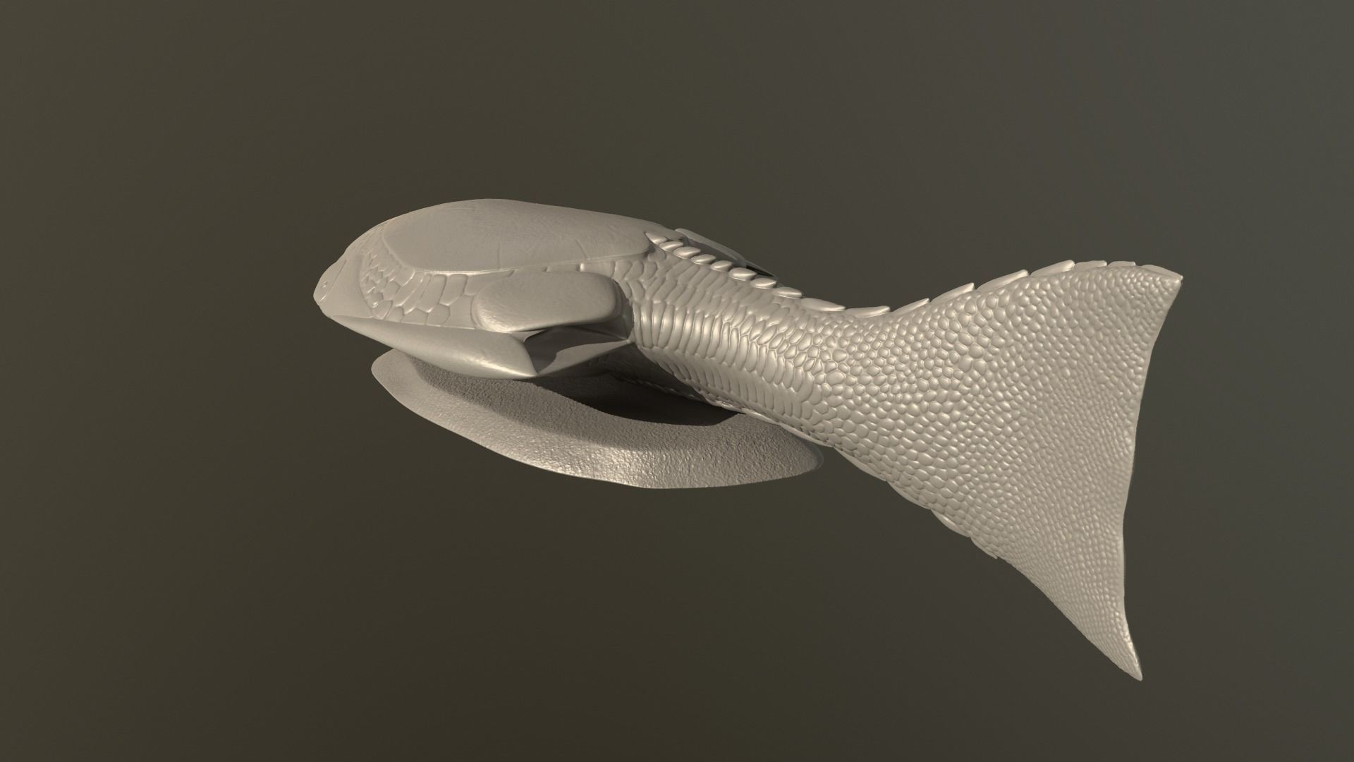 Drepanaspis fish 3D print model_7