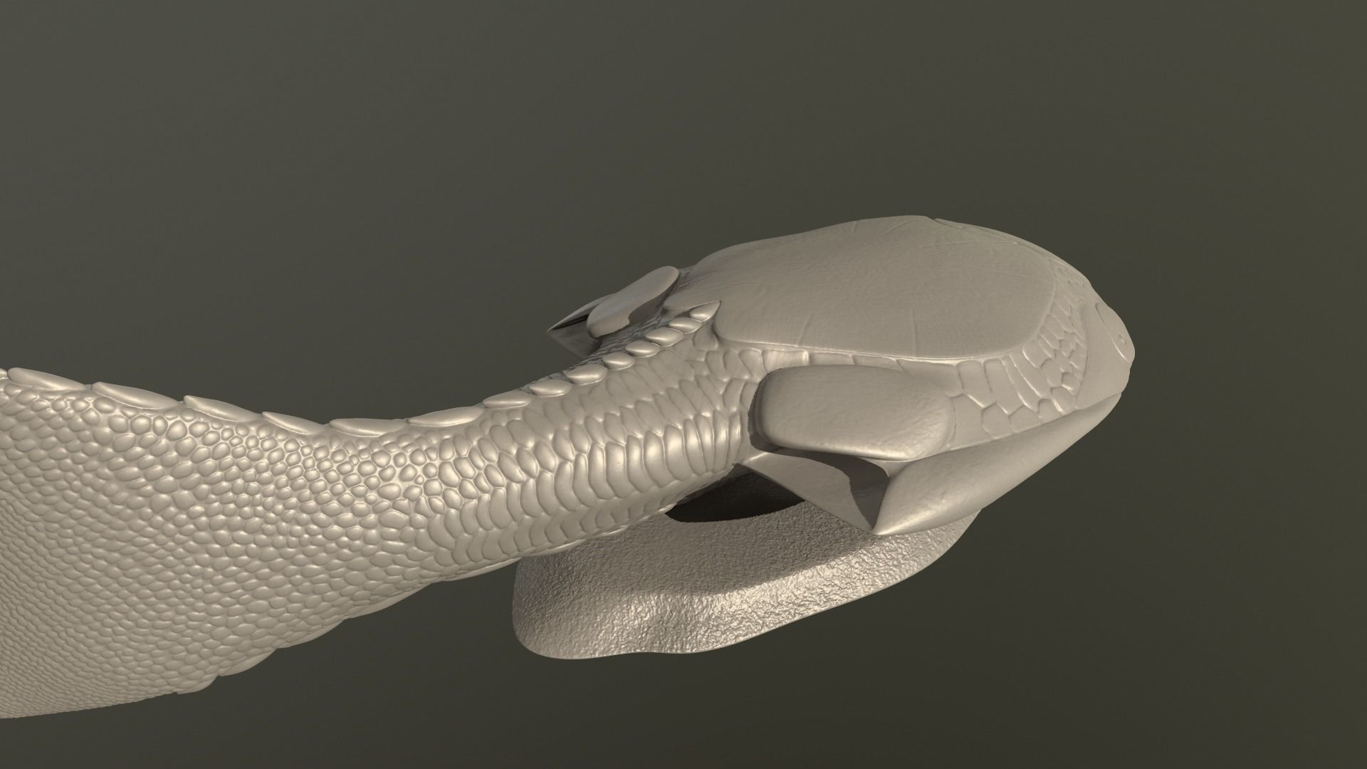 Drepanaspis fish 3D print model_5
