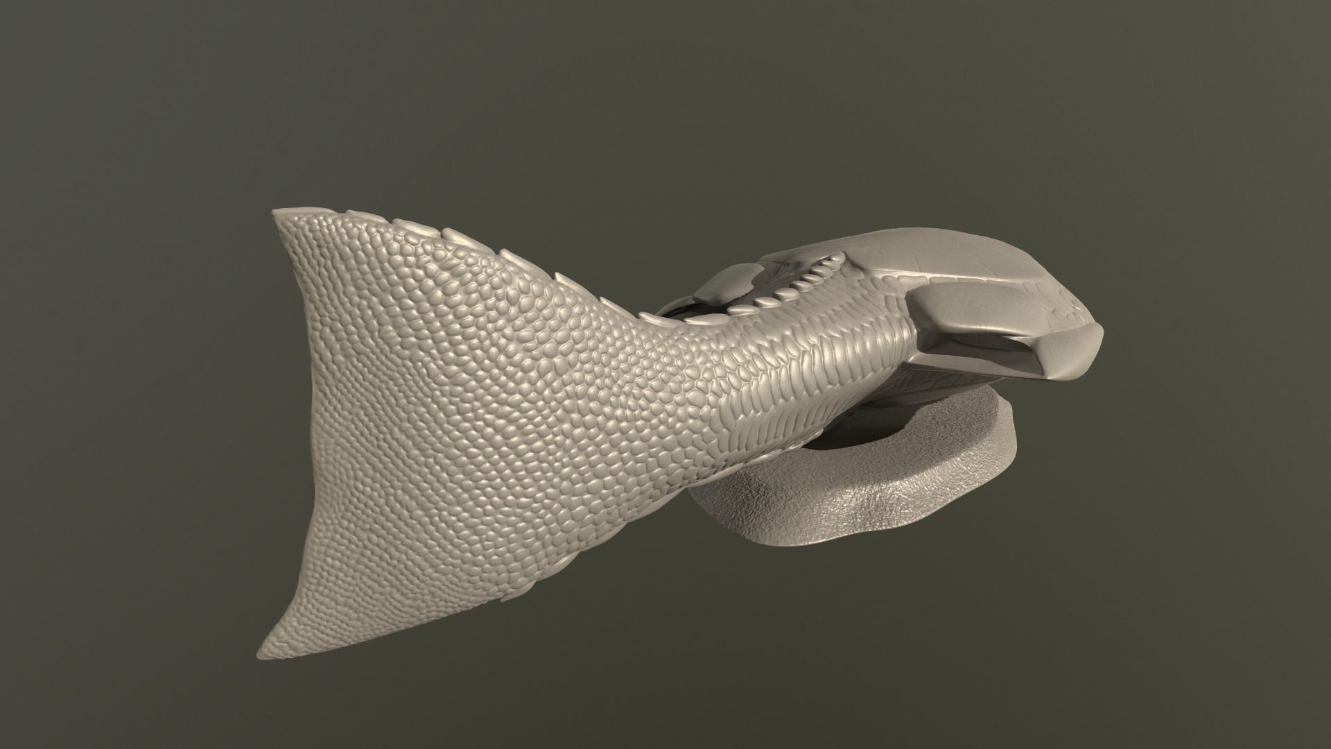 Drepanaspis fish 3D print model_6