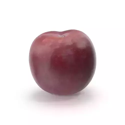 Realistic Plum Fruit