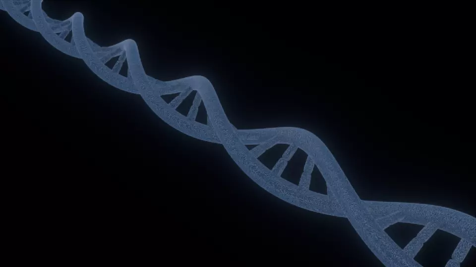 DNA 3D MODEL strand Free 3D model_0