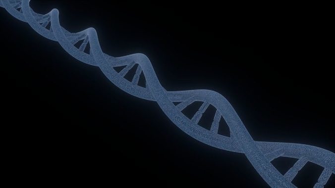 DNA 3D MODEL strand Free 3D model