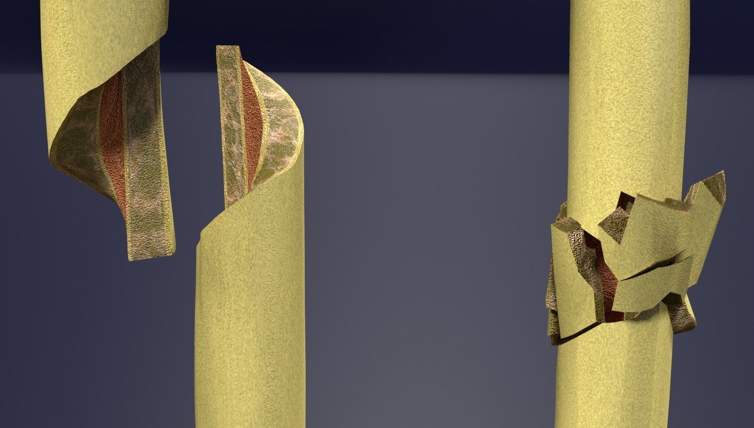 Fracture types labelled 3D model_10