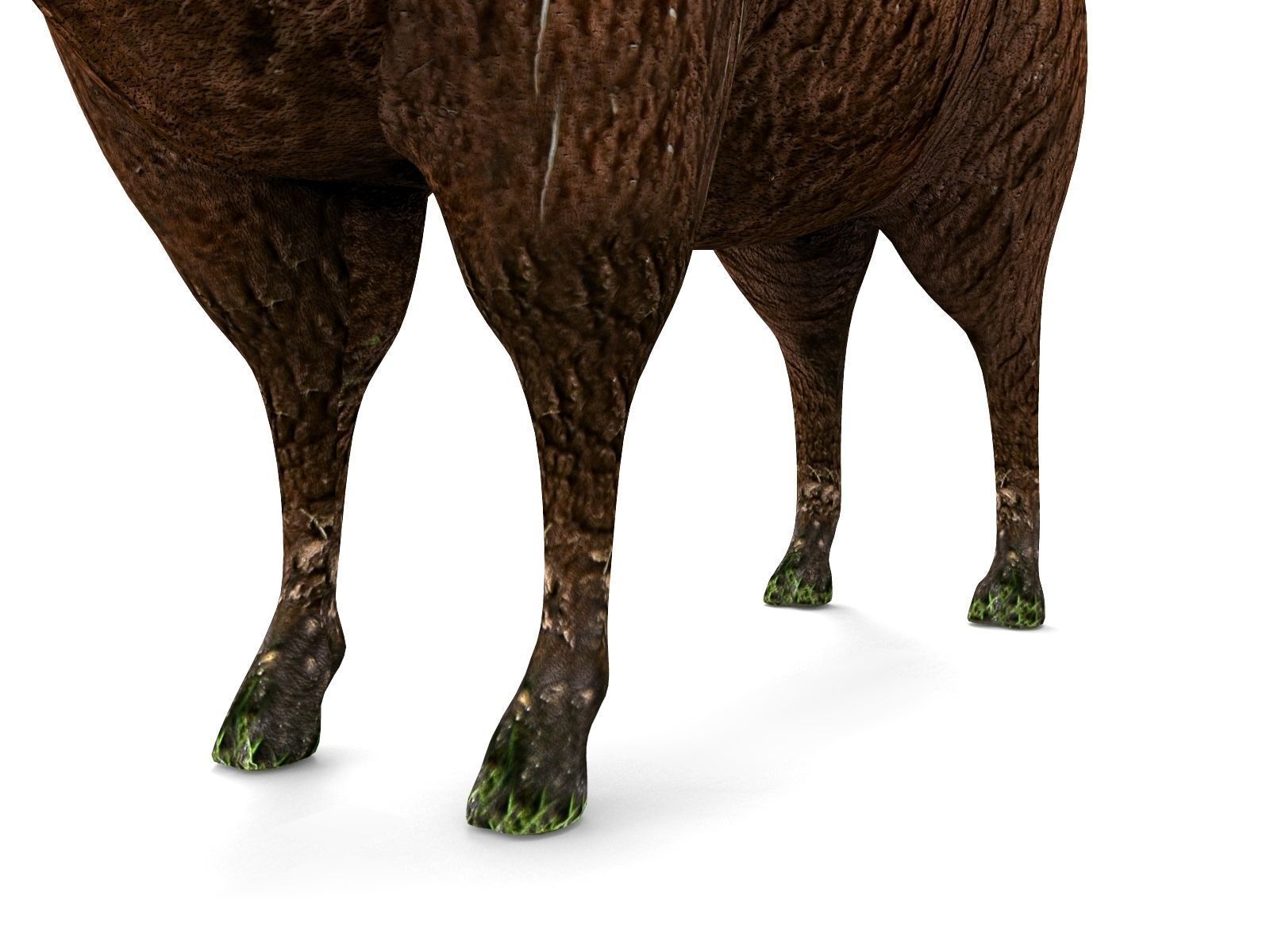3D Black Sheep Model  Low-poly 3D model_8
