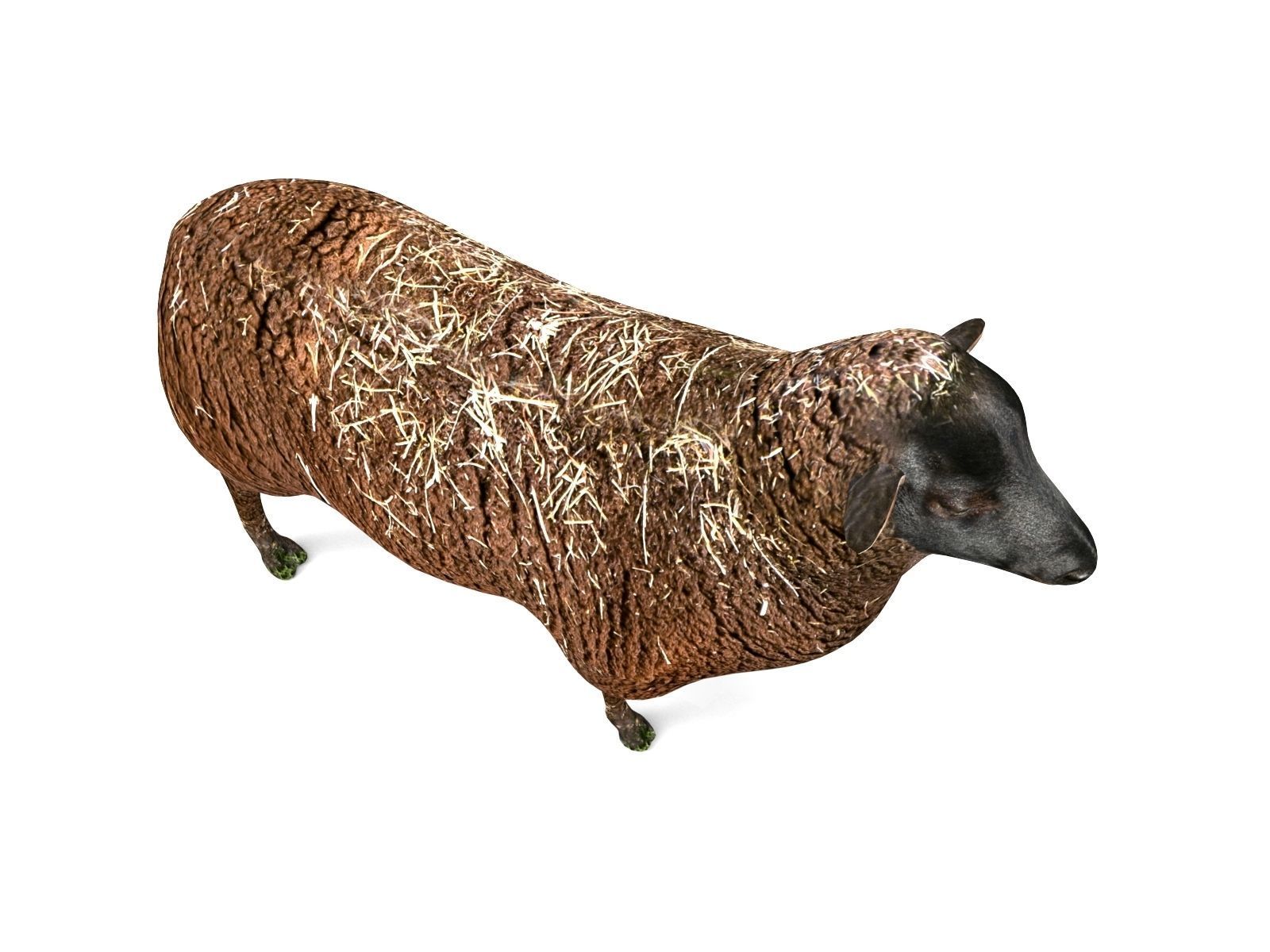 3D Black Sheep Model  Low-poly 3D model_3