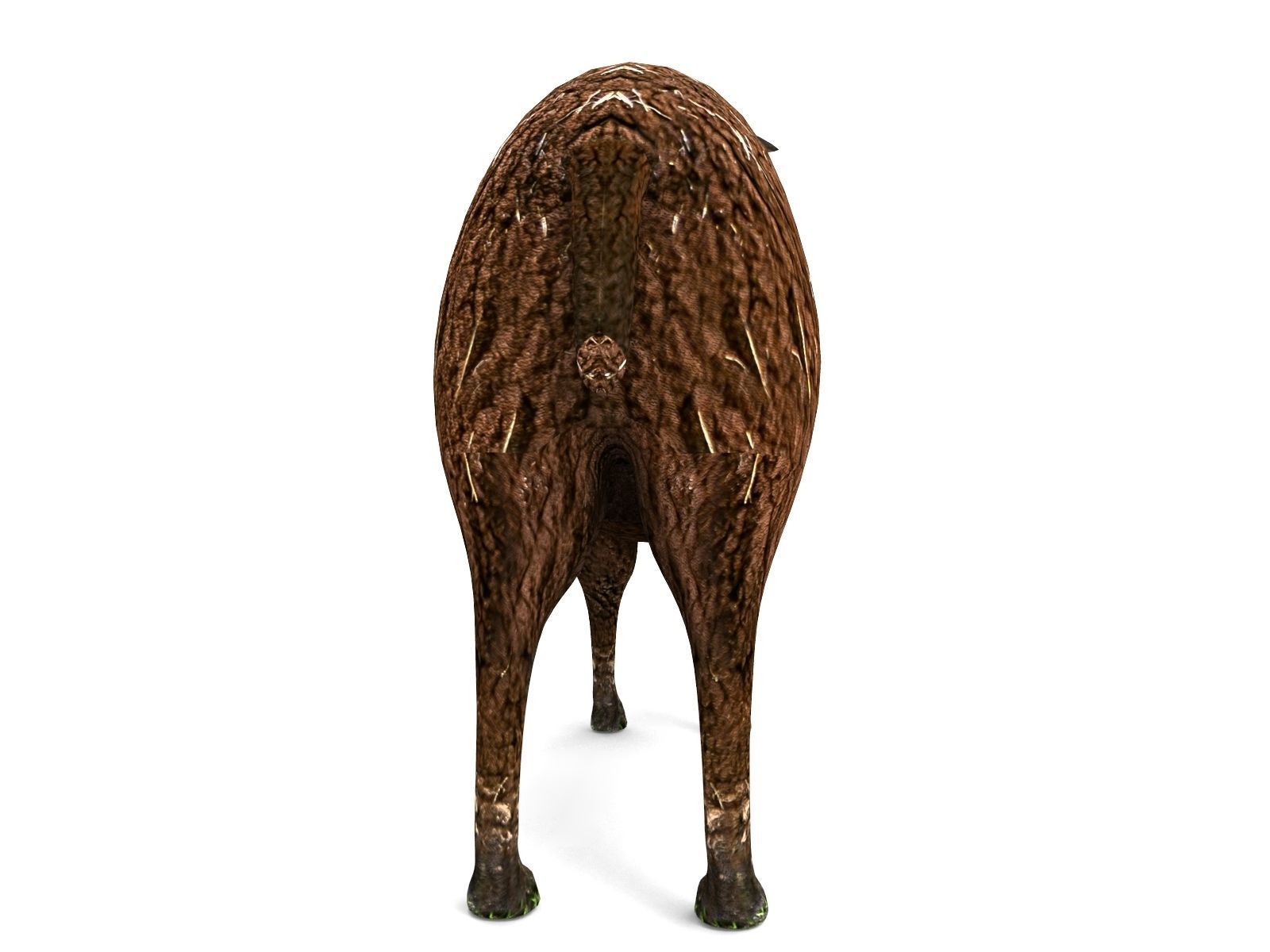 3D Black Sheep Model  Low-poly 3D model_5