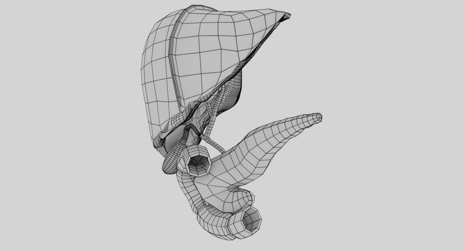 Hepato biliary tract pancreas gallbladder 3D model_26