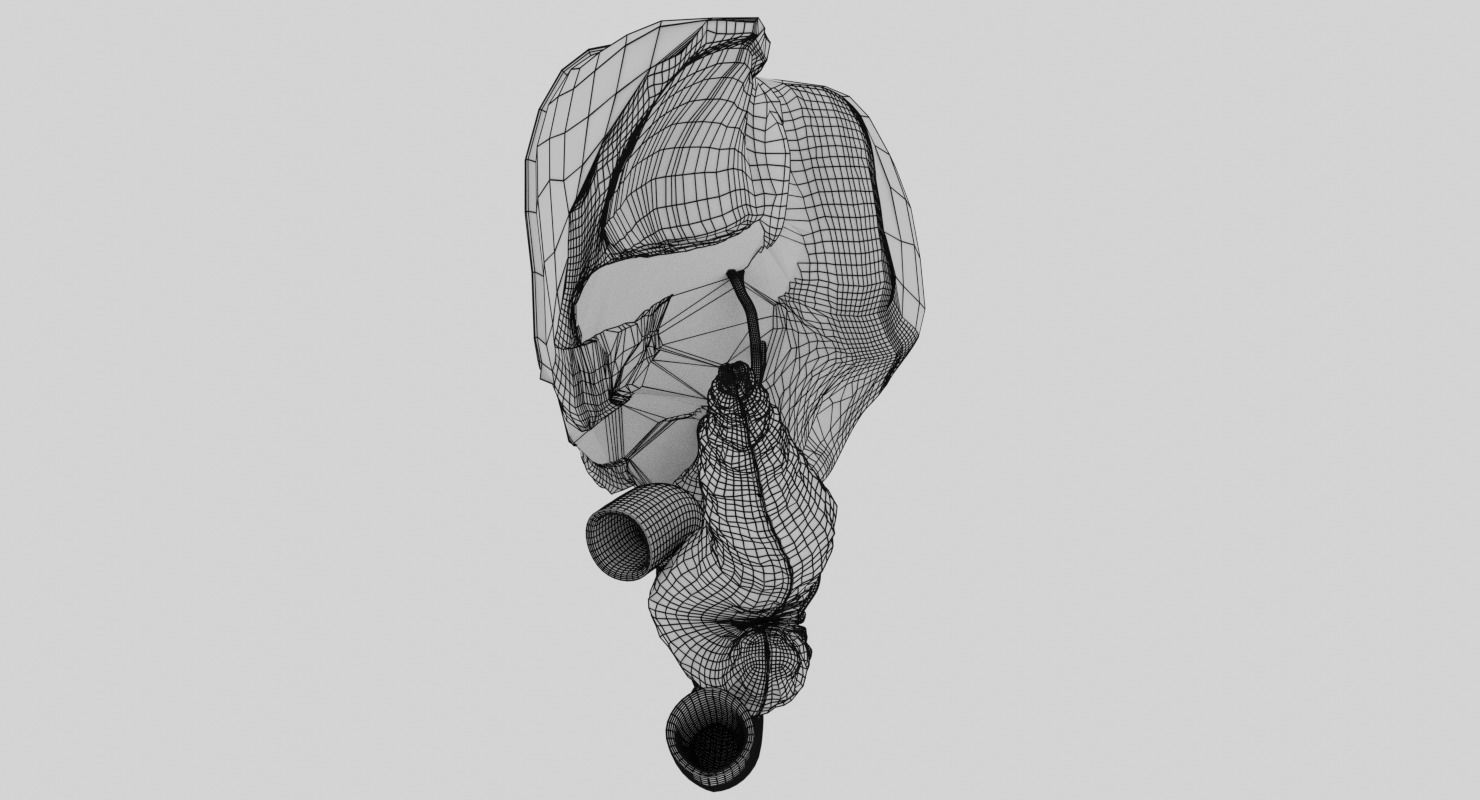 Hepato biliary tract pancreas gallbladder 3D model_28