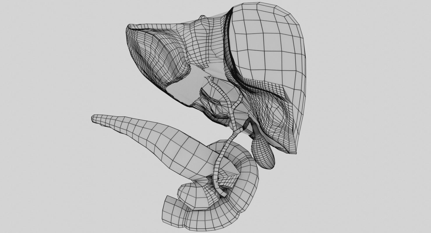 Hepato biliary tract pancreas gallbladder 3D model_30