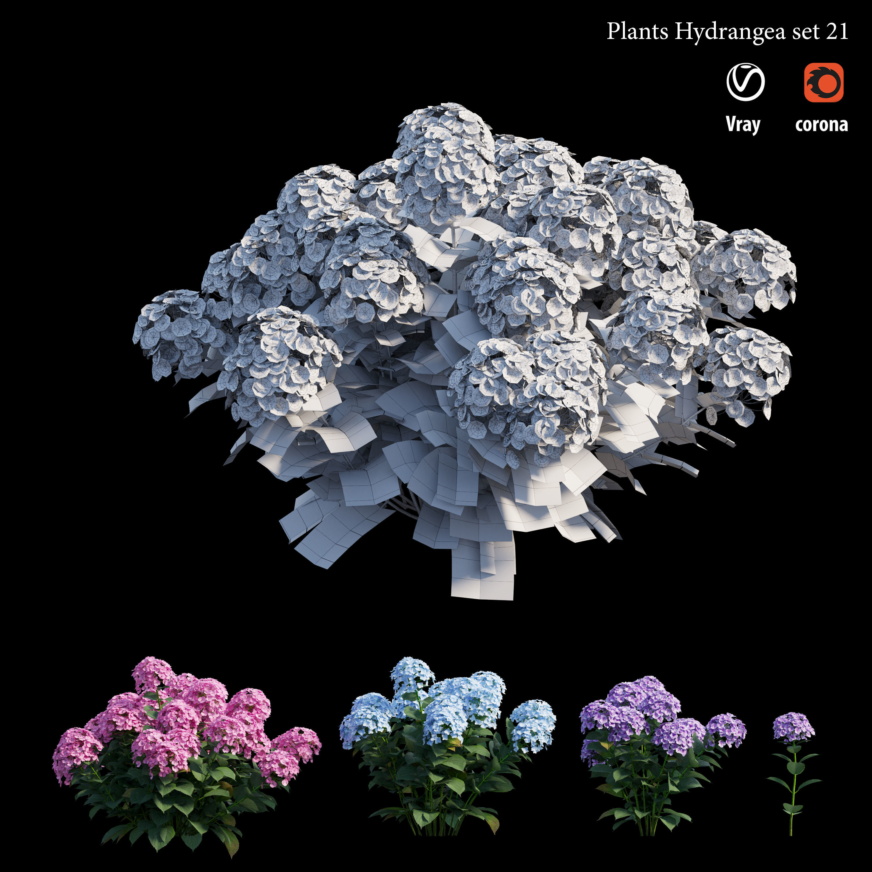 Plants Hydrangea set 21 3D model_8