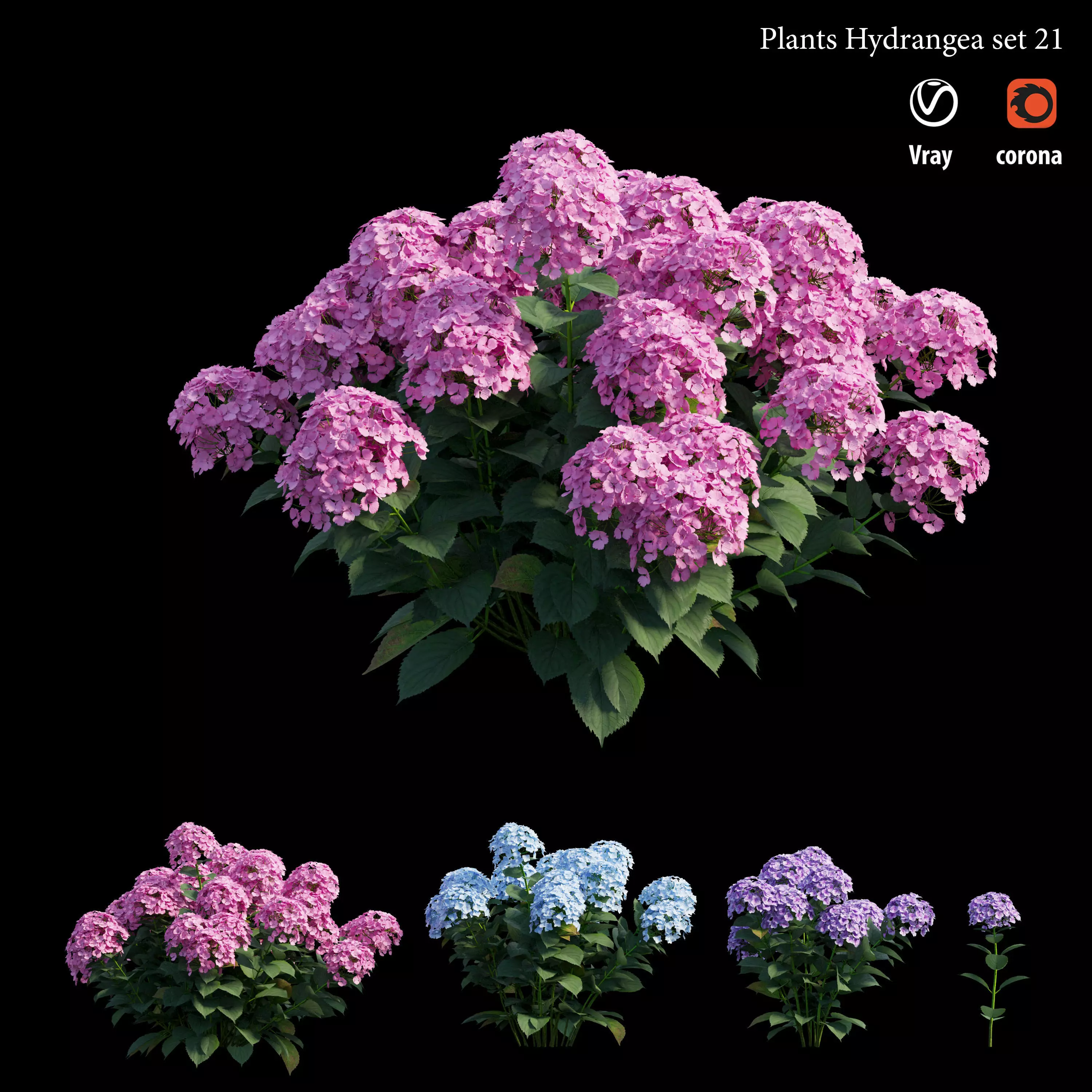 Plants Hydrangea set 21 3D model_0