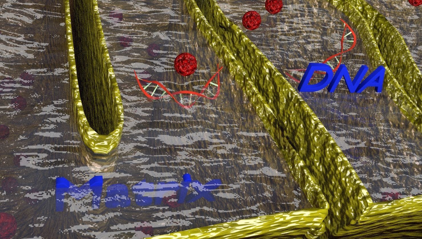 Mitochondria Microscopy detailed labelled 3D model_15