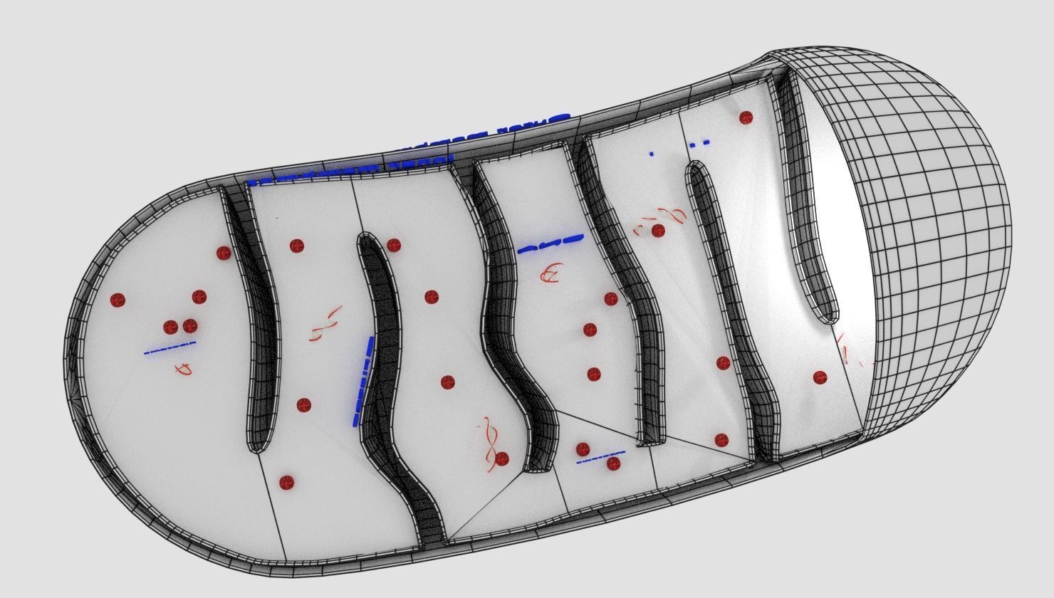 Mitochondria Microscopy detailed labelled 3D model_9