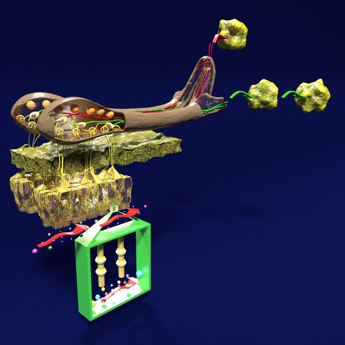 Olfactory system smell odour detail labelled 3D model_34