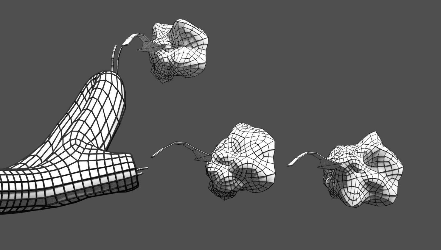 Olfactory system smell odour detail labelled 3D model_33