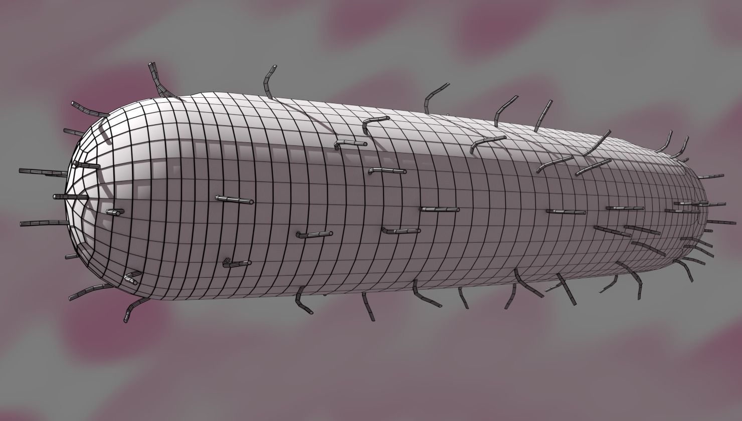 Tuberculosis bacteria detail cut section labelled 3D model_11