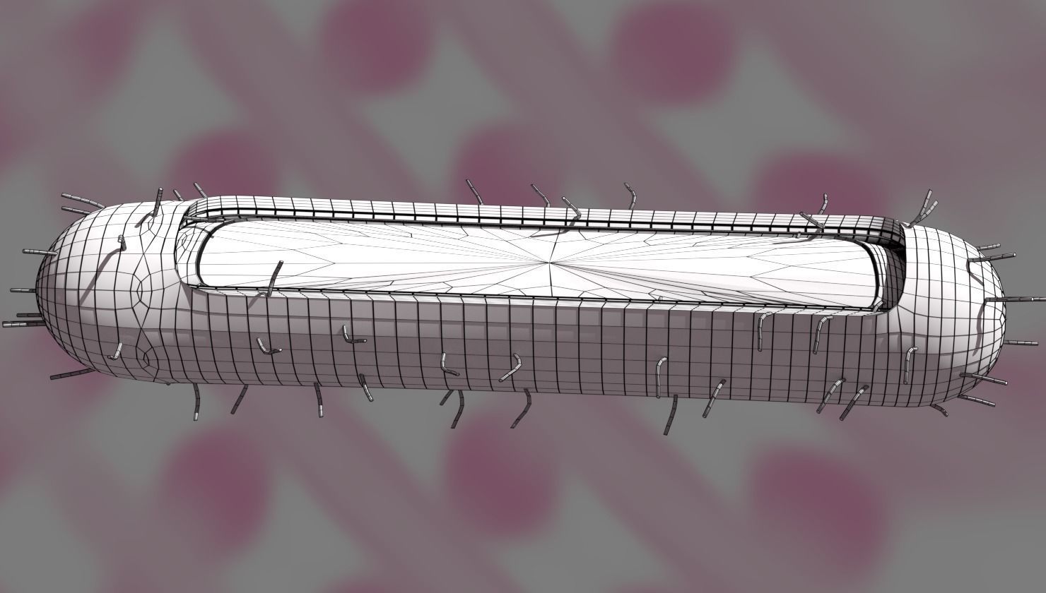 Tuberculosis bacteria detail cut section labelled 3D model_10