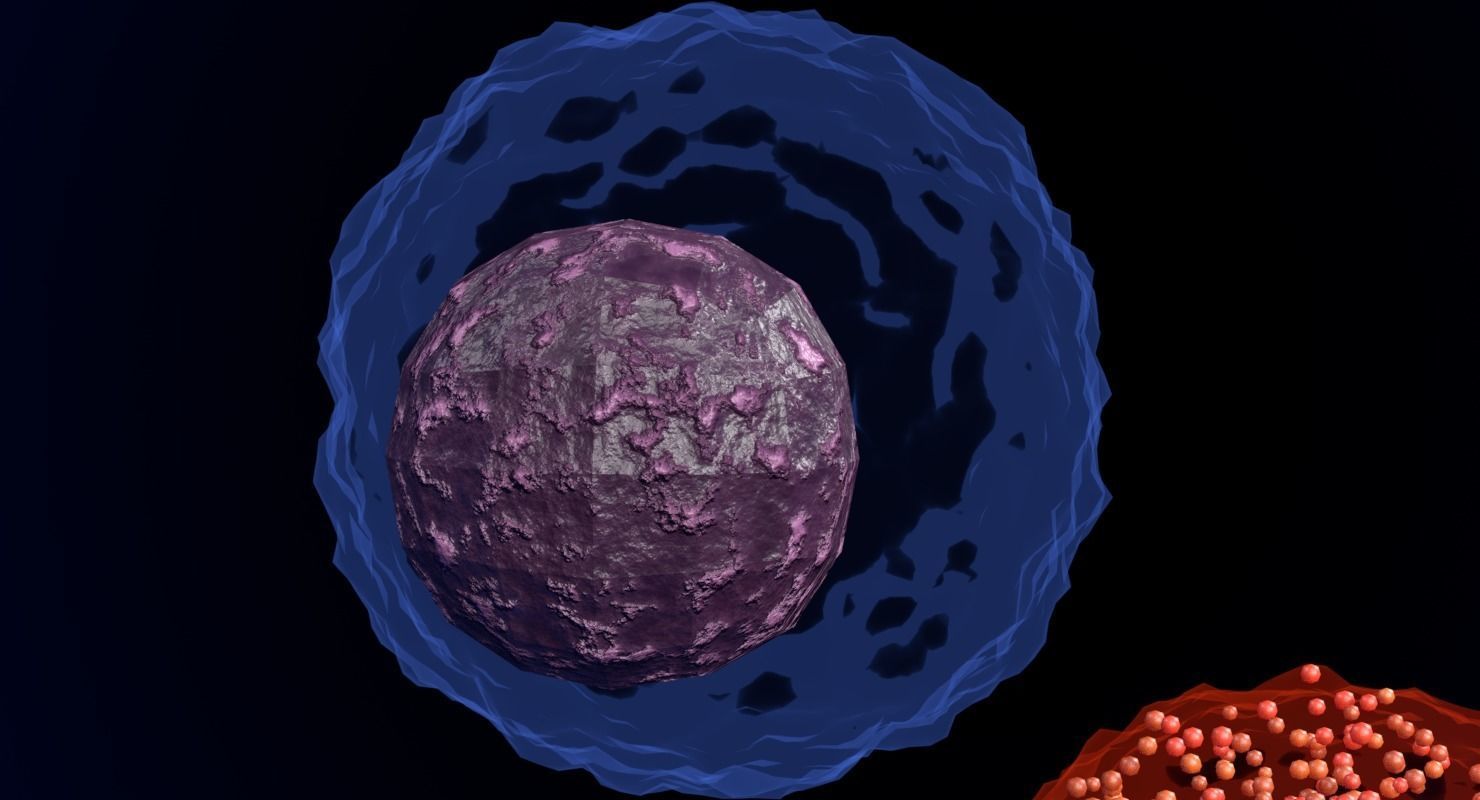 WHITE BLOOD CELLS LEUCOCYTES 3D model_10