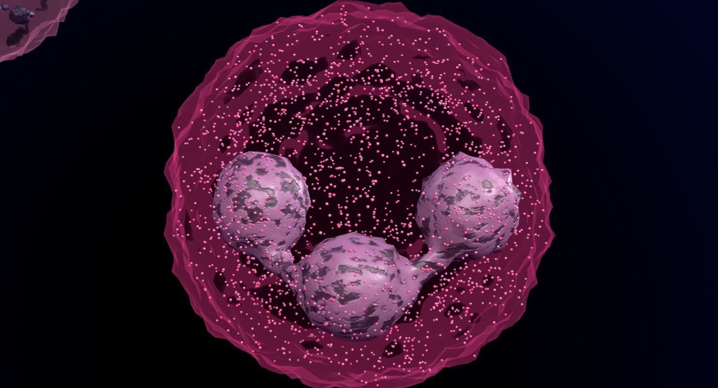 WHITE BLOOD CELLS LEUCOCYTES 3D model_15
