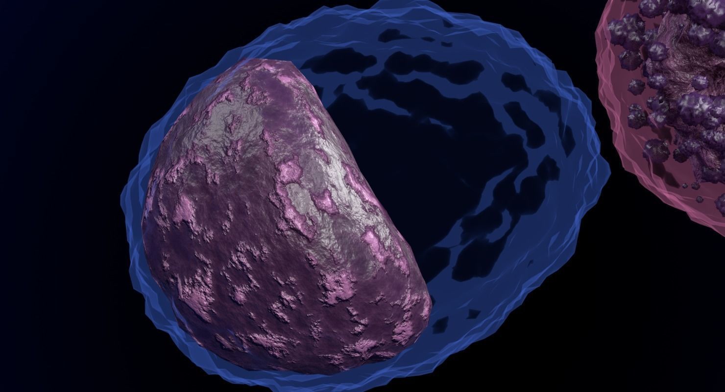 WHITE BLOOD CELLS LEUCOCYTES 3D model_9