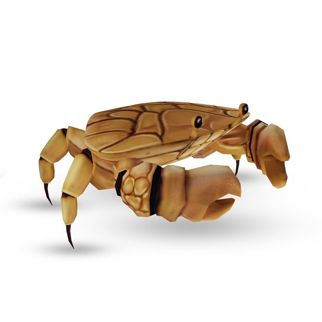 3D Crab Low-poly 3D model_3