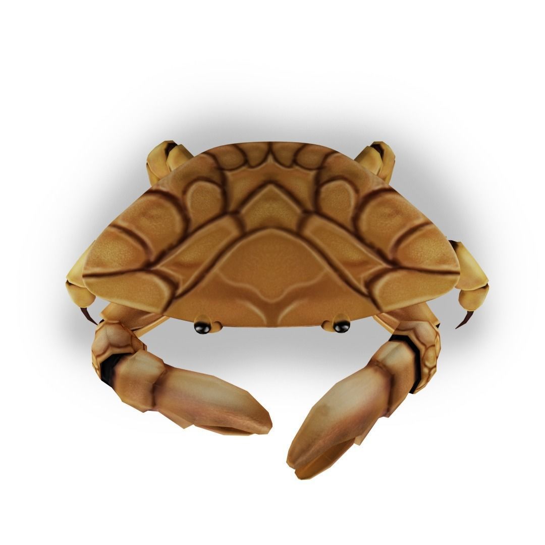 3D Crab Low-poly 3D model_2