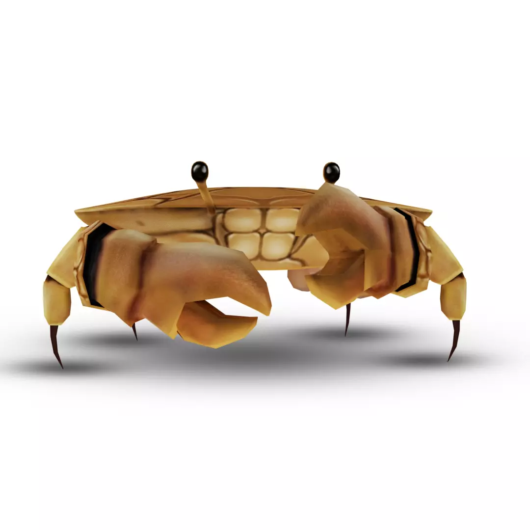 3D Crab Low-poly 3D model_0