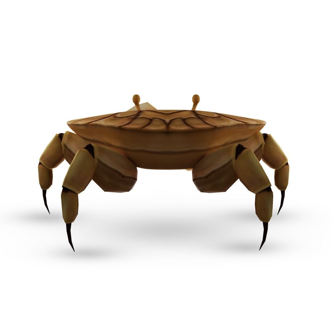 3D Crab Low-poly 3D model_4