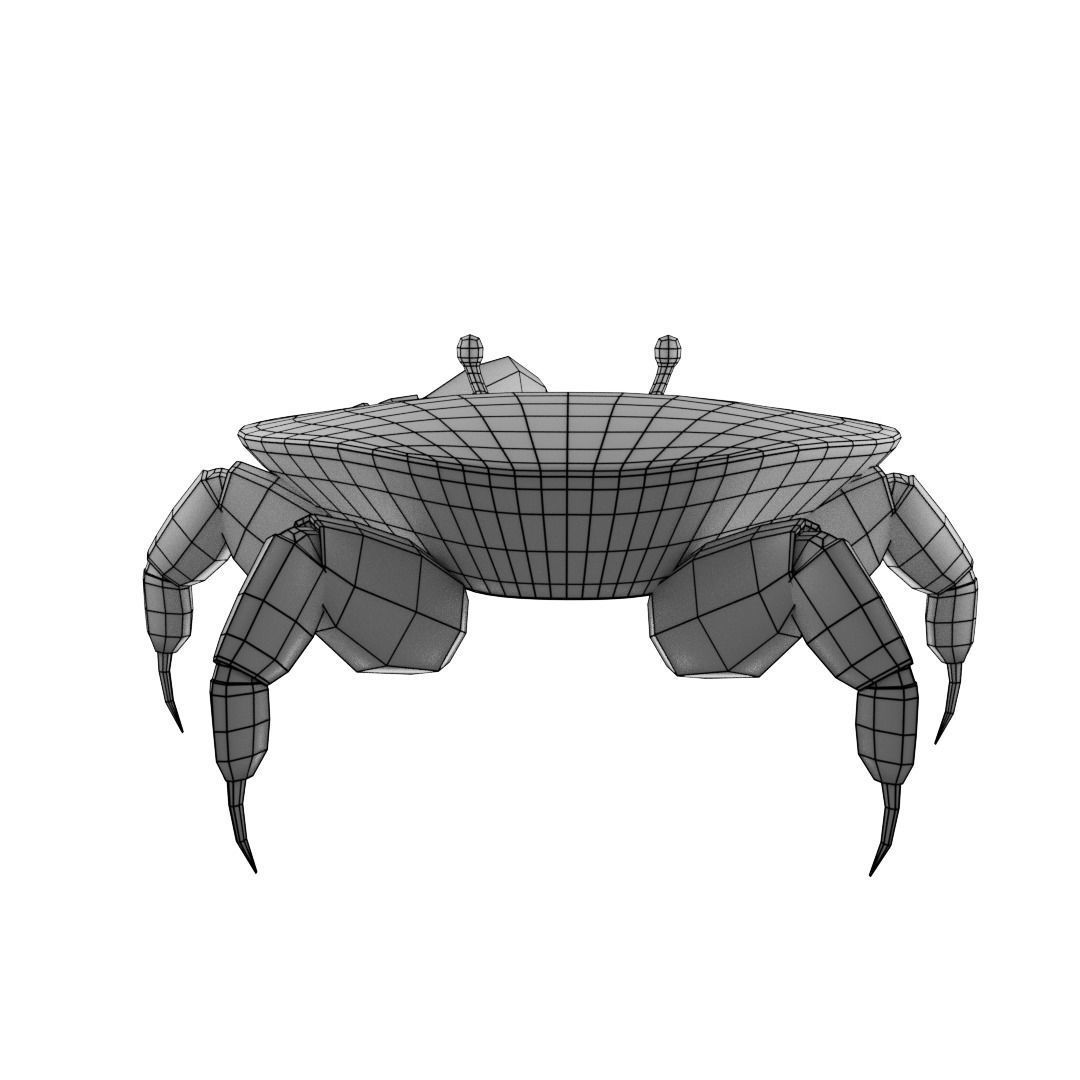 3D Crab Low-poly 3D model_8