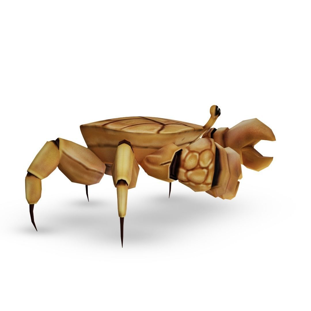 3D Crab Low-poly 3D model_5