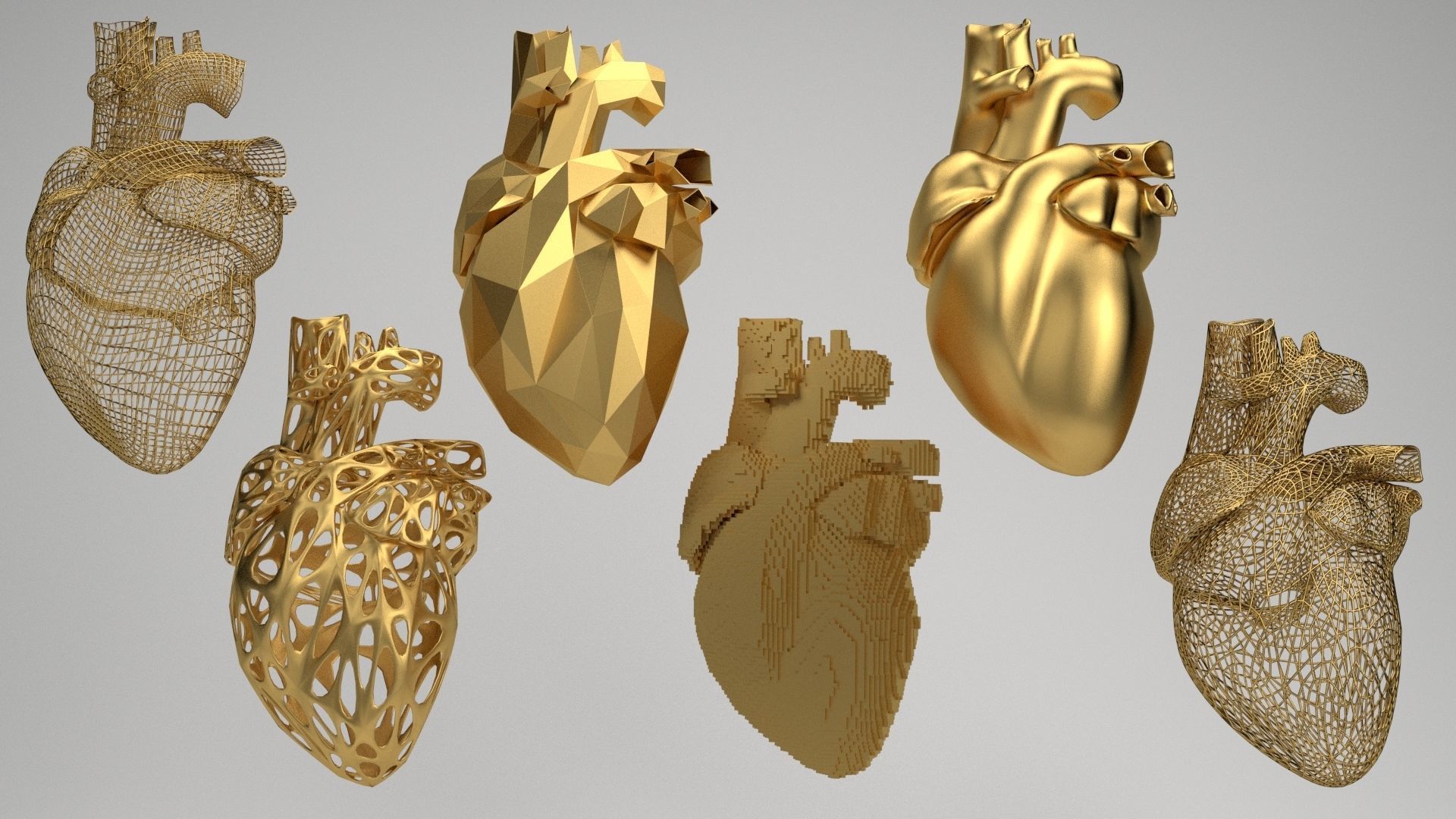 Heart set of human hearts 3D model_1