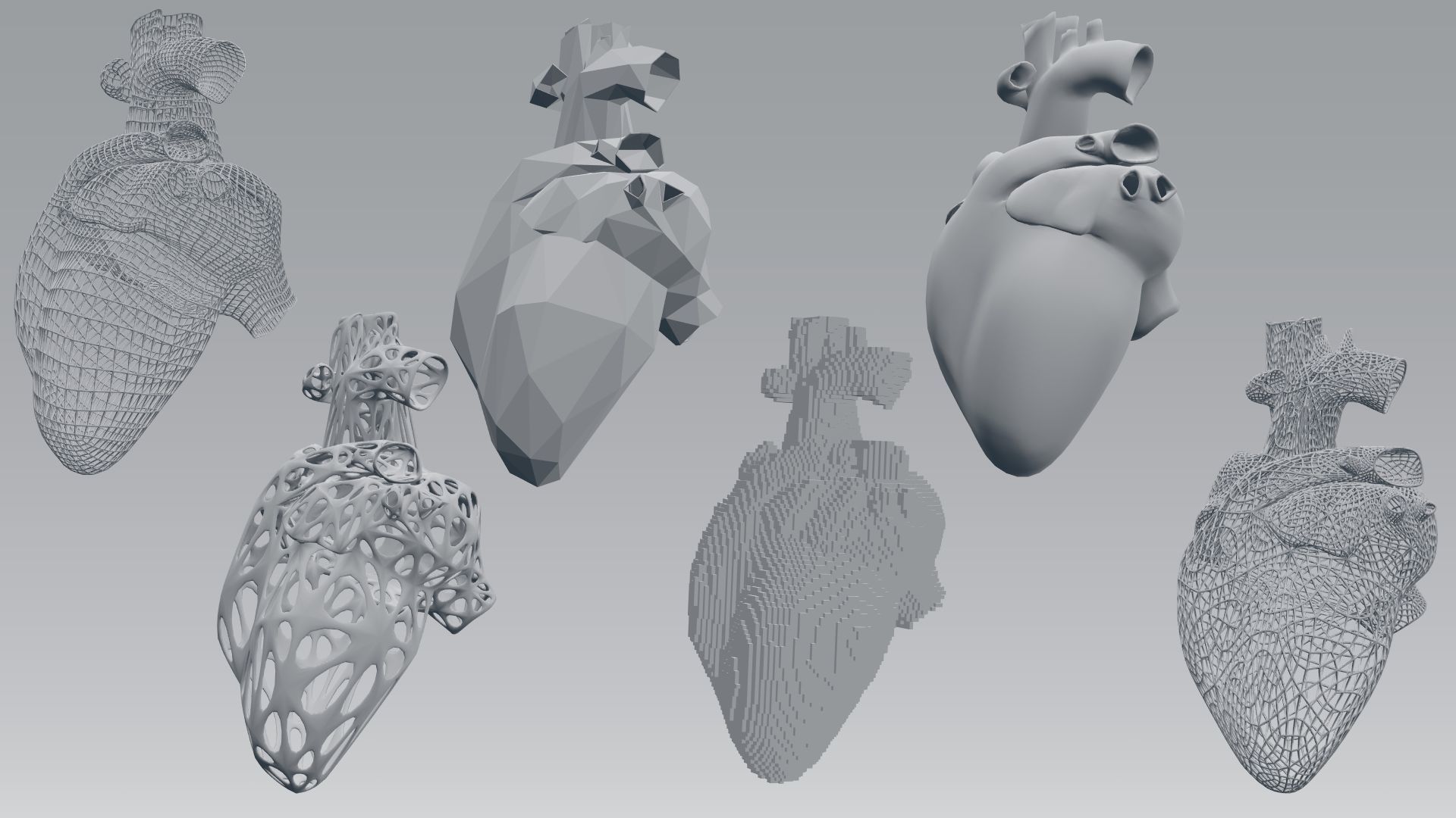 Heart set of human hearts 3D model_8