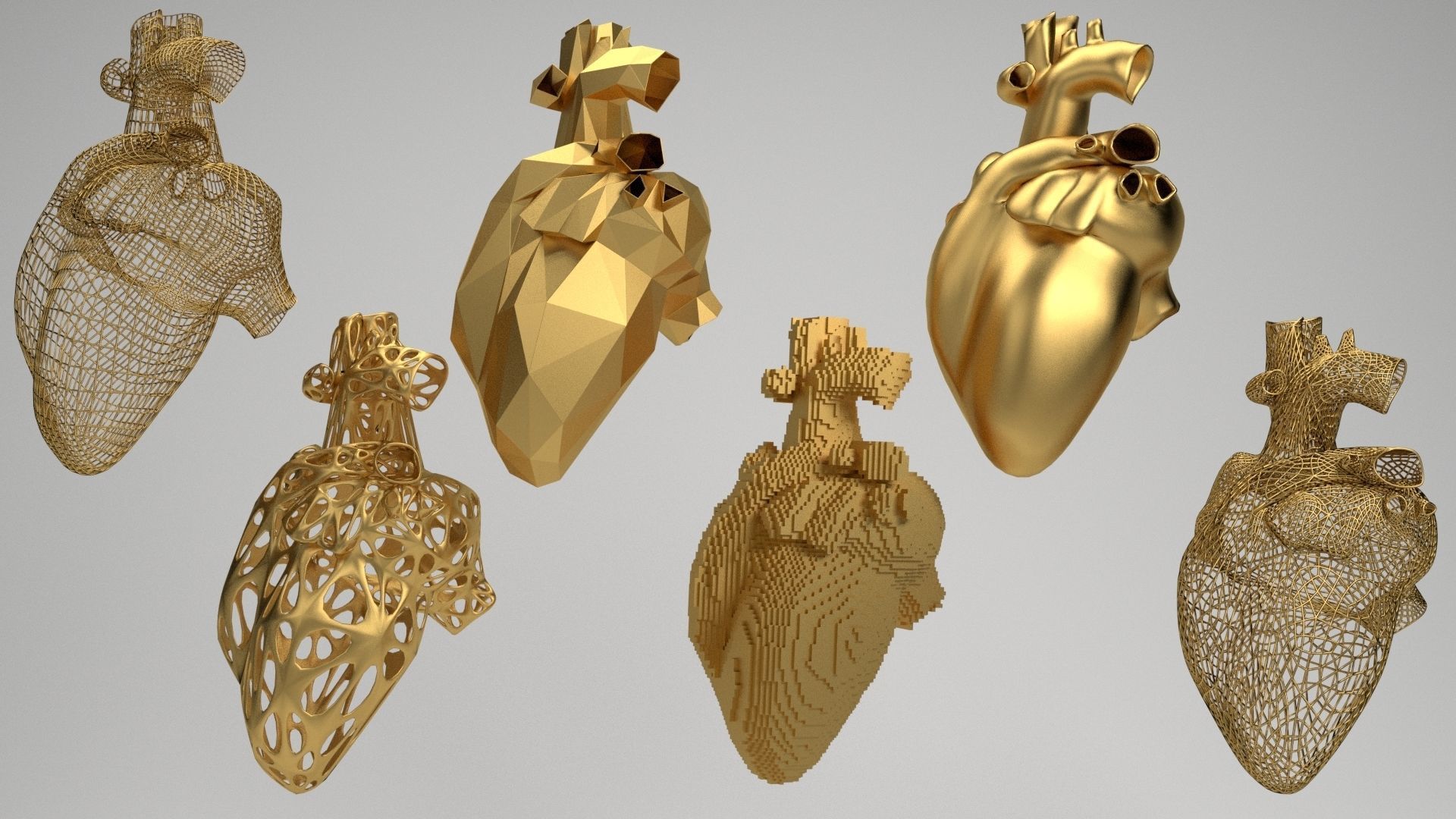 Heart set of human hearts 3D model_6