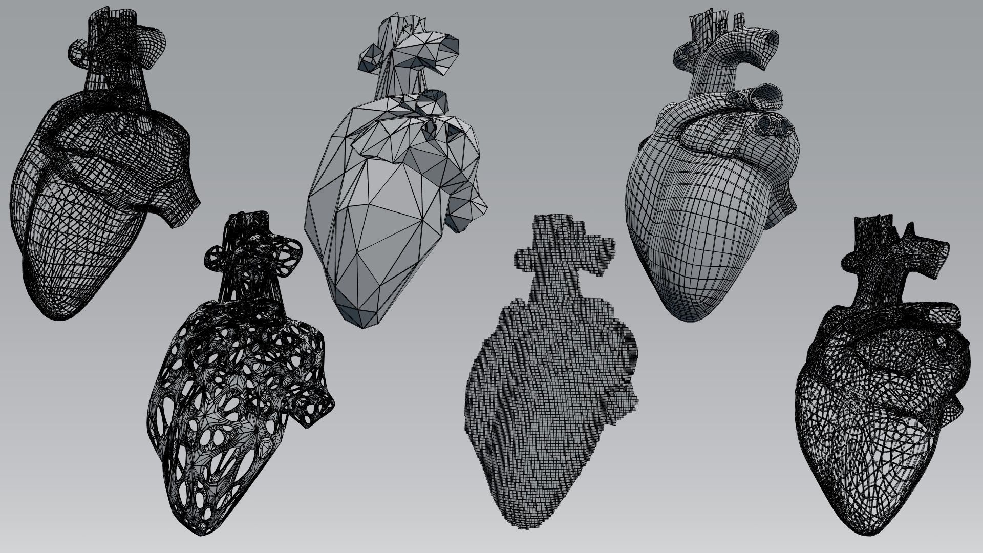 Heart set of human hearts 3D model_9