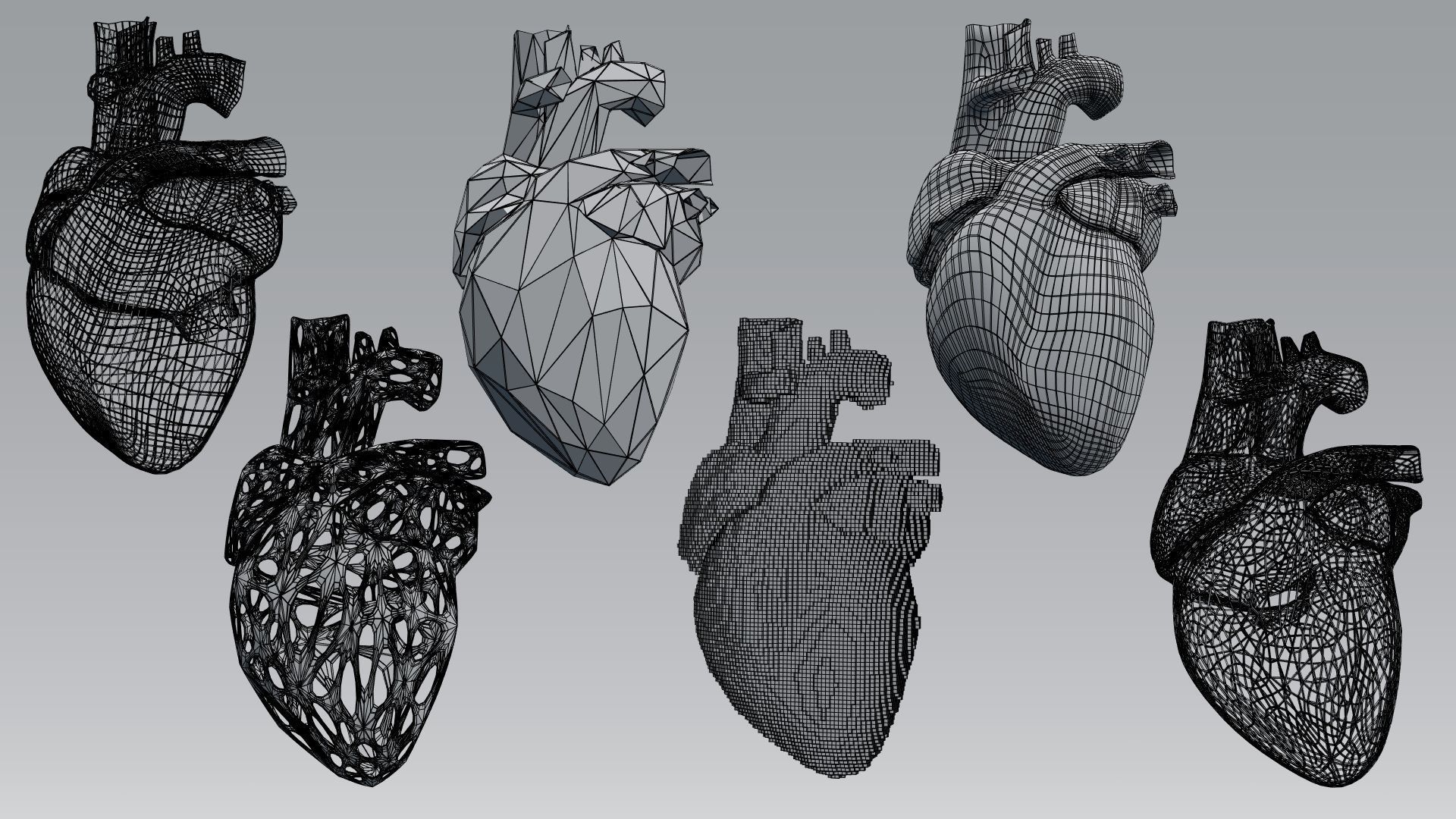 Heart set of human hearts 3D model_4