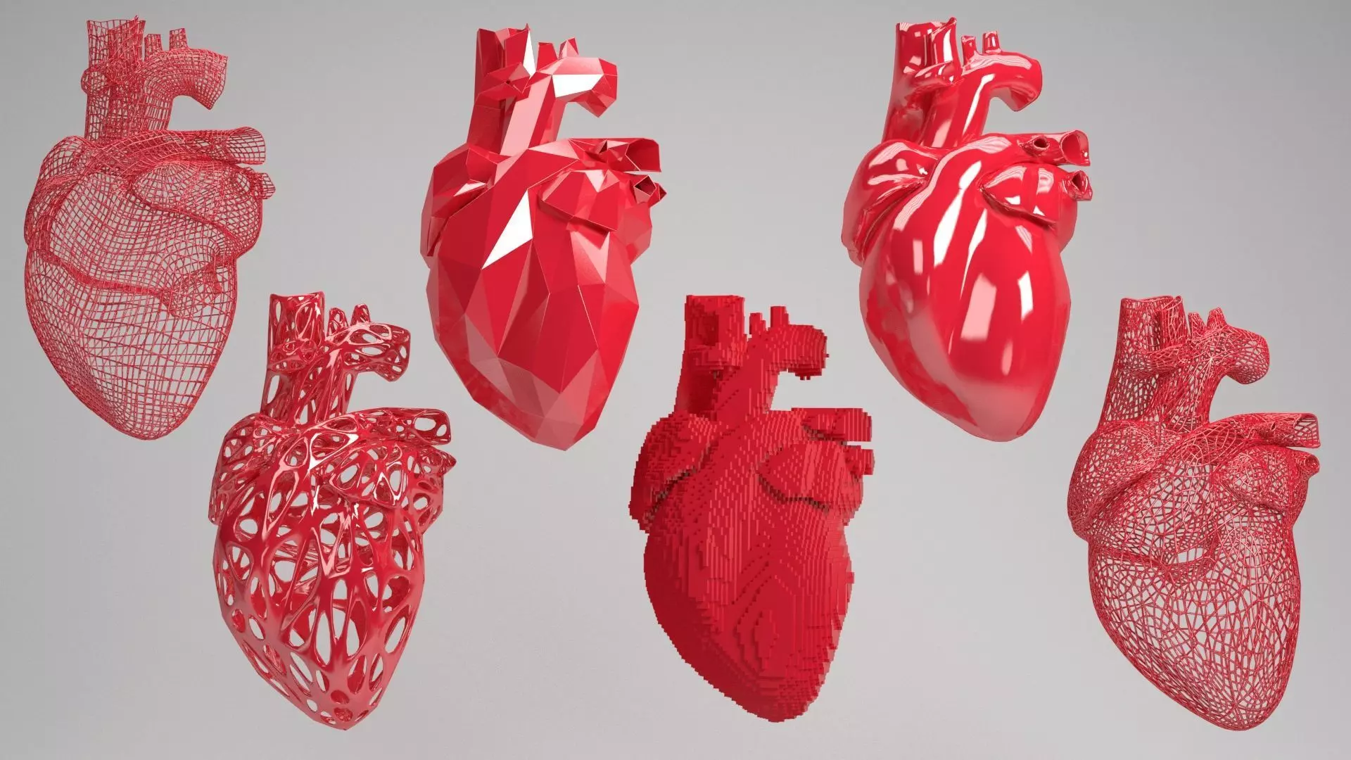 Heart set of human hearts 3D model_0
