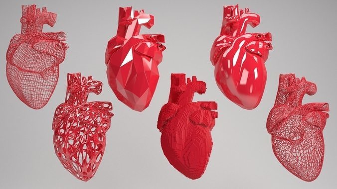 Heart set of human hearts 3D model