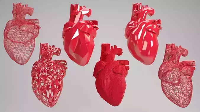 Heart set of human hearts 3D model