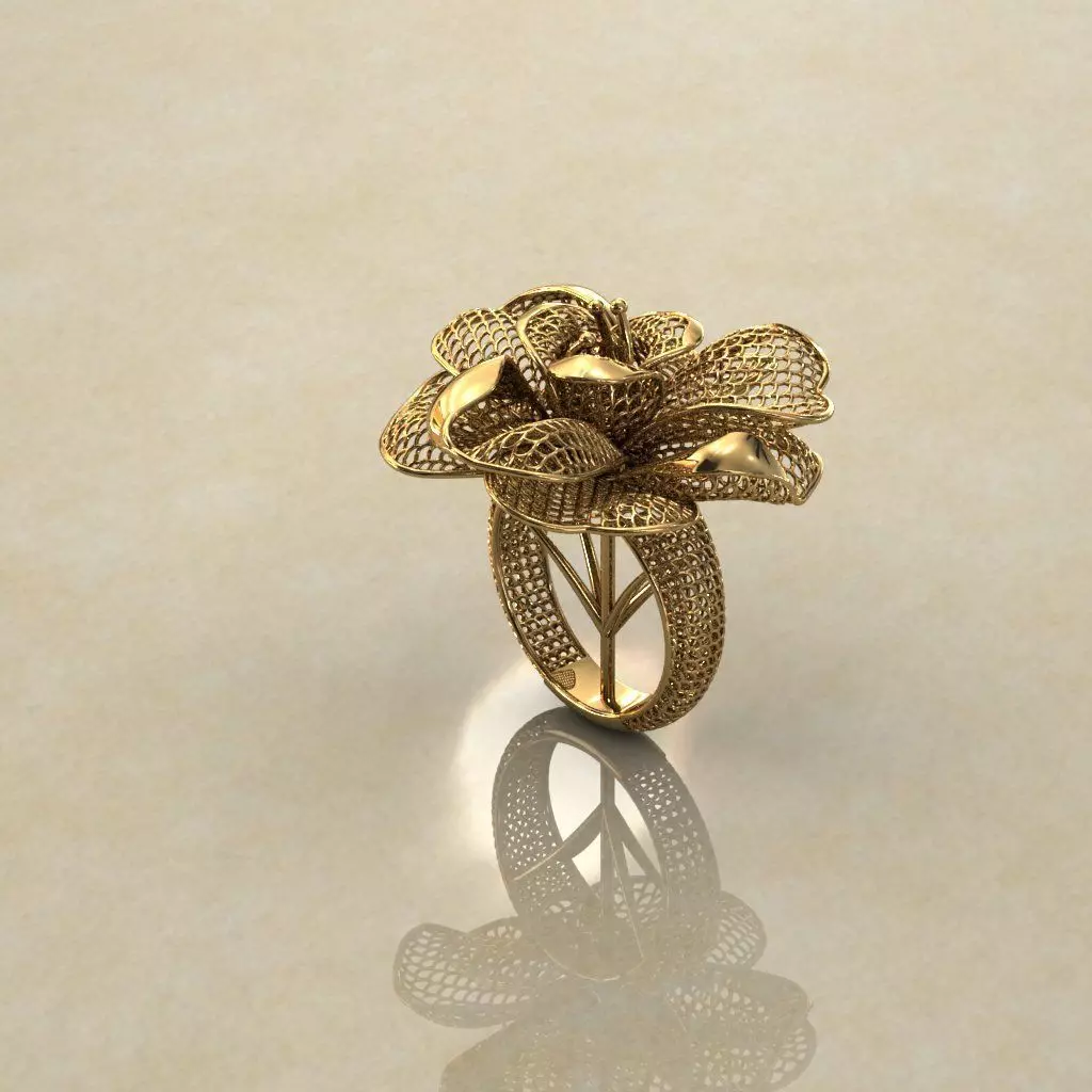 Balon Heart Electro-Fusion Fashion Ring 2 3D print model_0