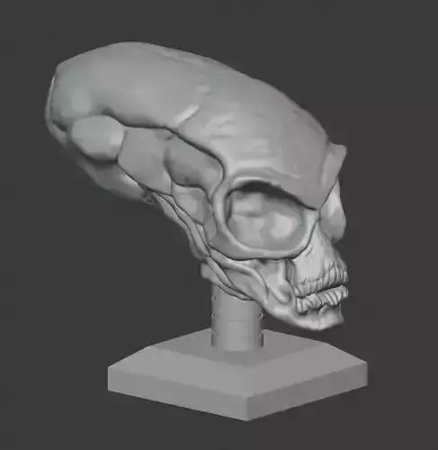 Crystal Skull 3D print model